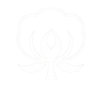 Weave of Culture